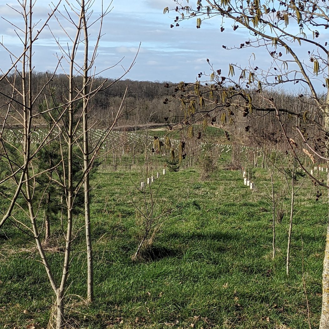 Espace naturel régional des Buttes du Parisis 2